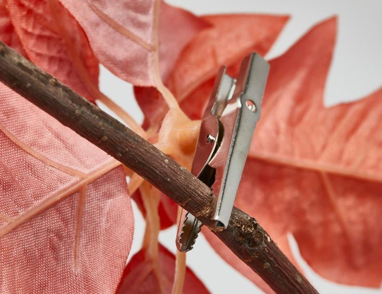 Увеличить фотографию