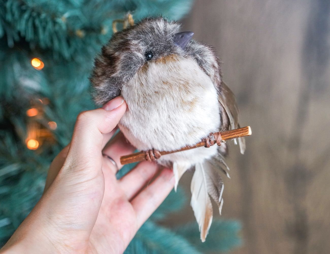 Увеличить фотографию