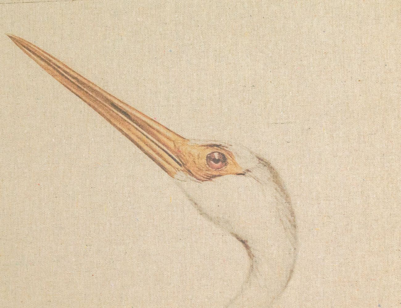 Увеличить фотографию