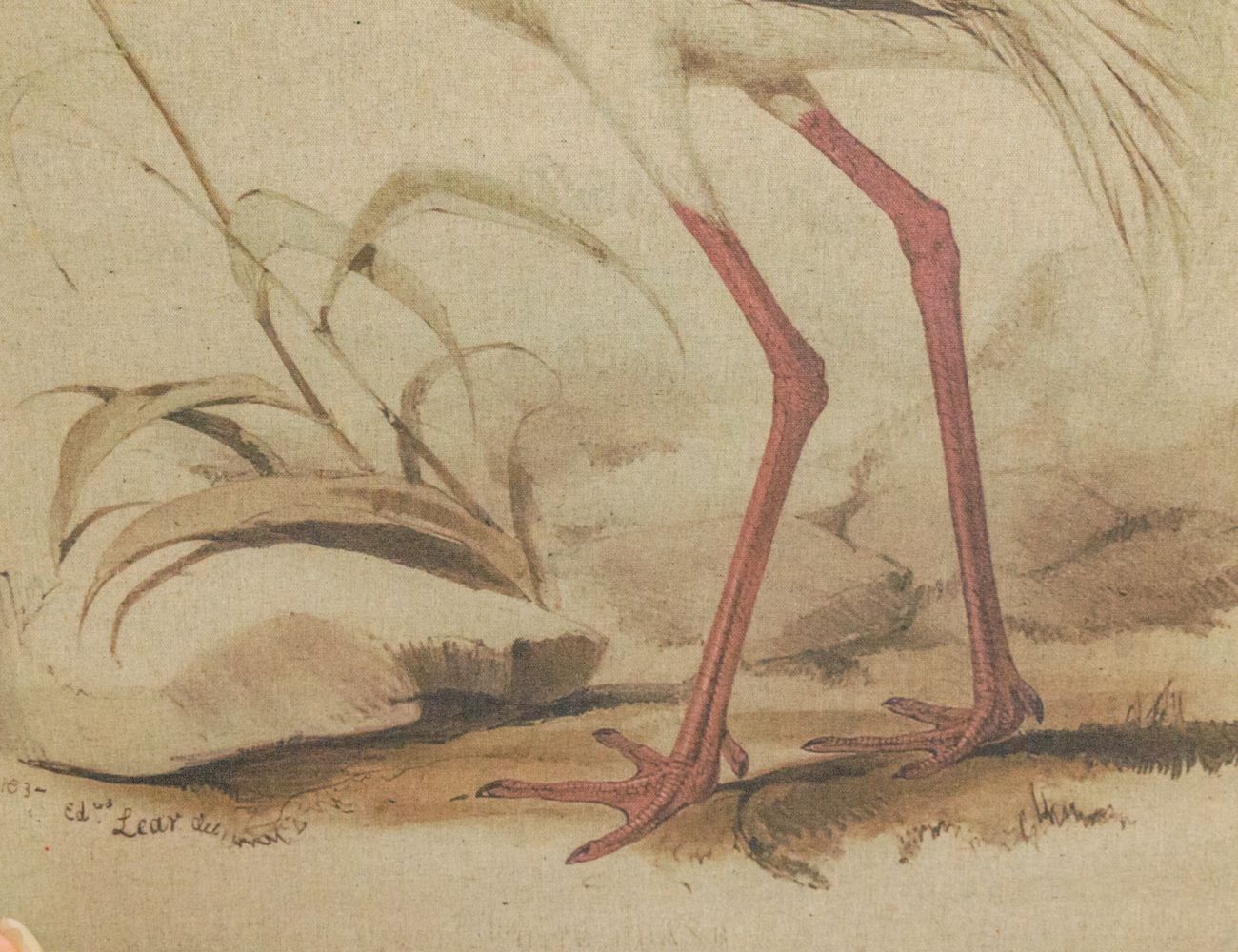 Увеличить фотографию