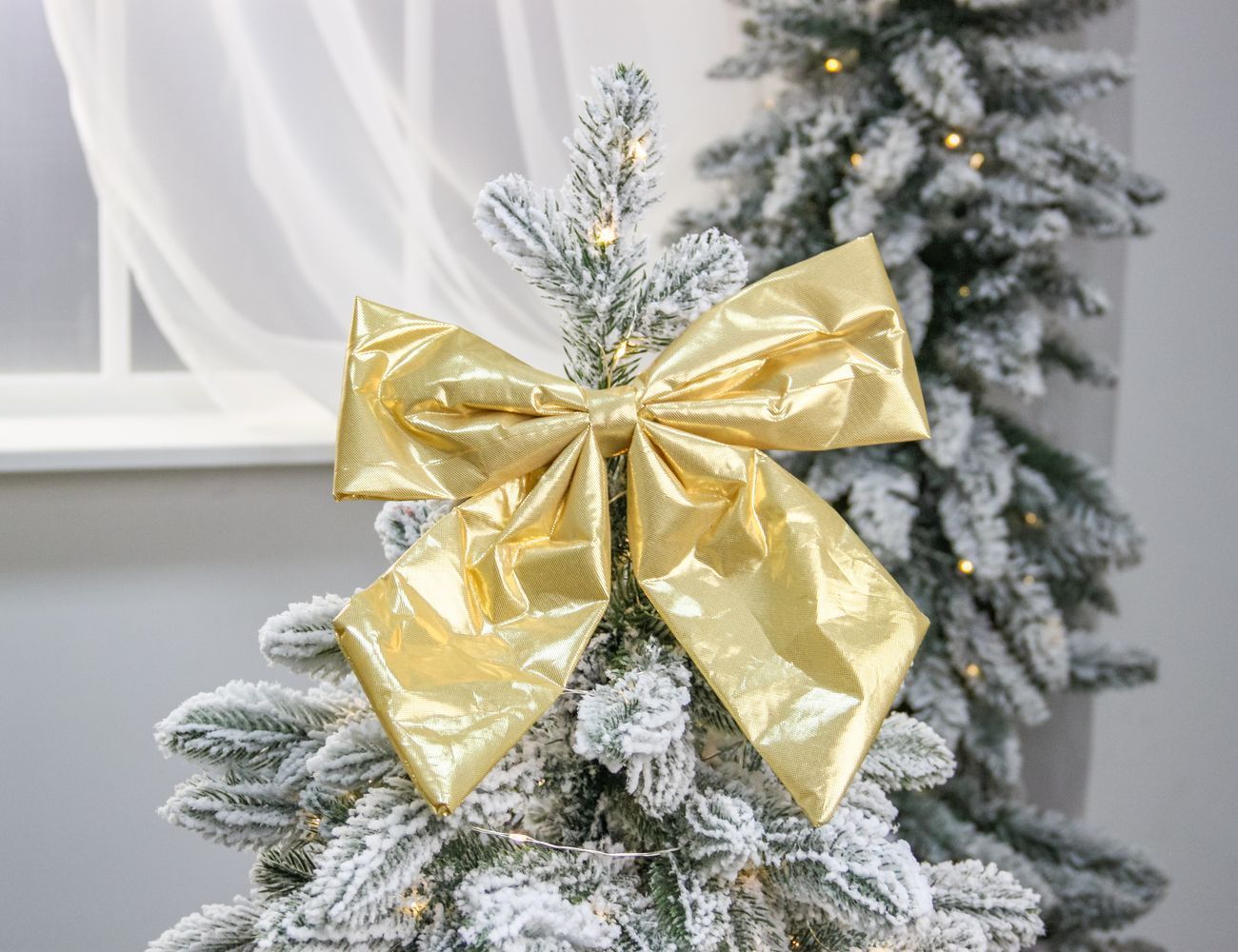 Увеличить фотографию