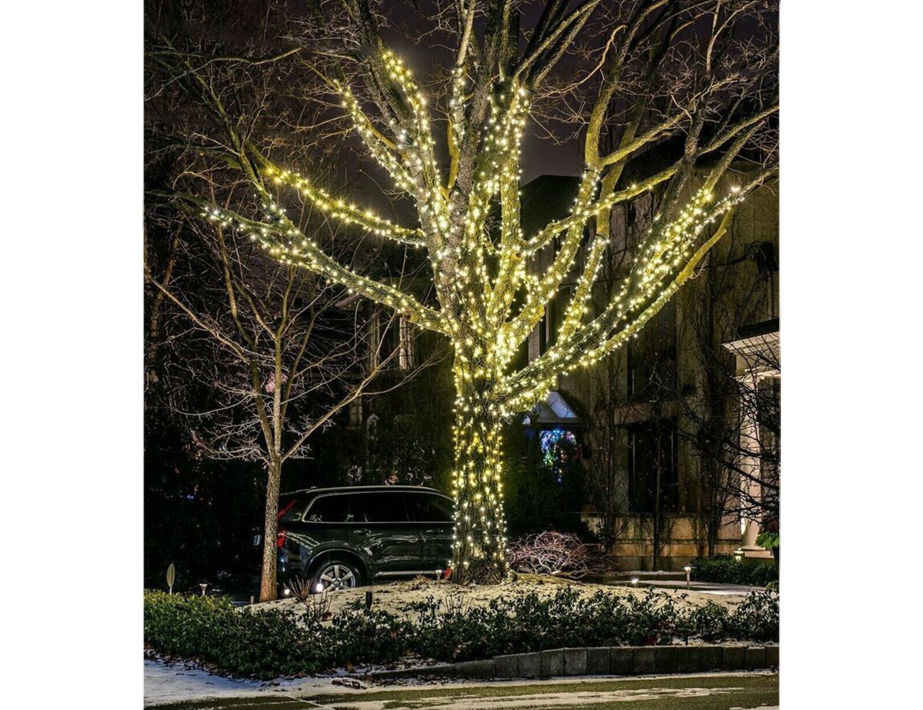 Увеличить фотографию