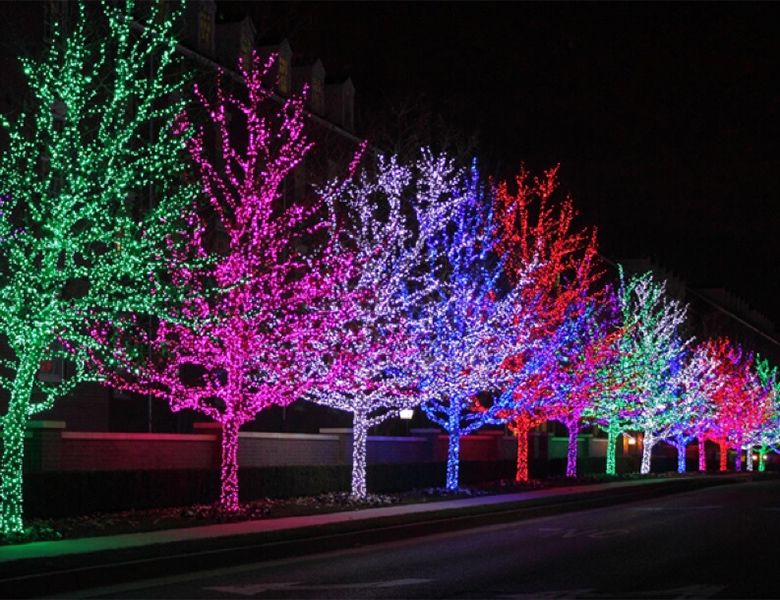 Увеличить фотографию