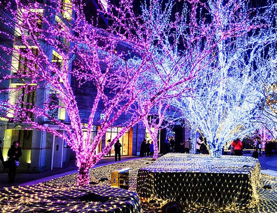 Увеличить фотографию