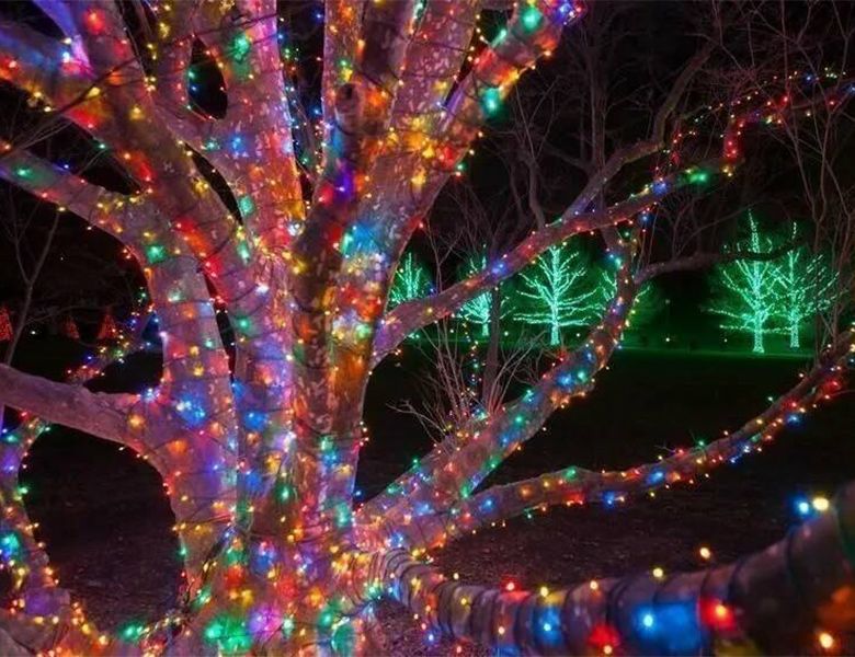 Увеличить фотографию