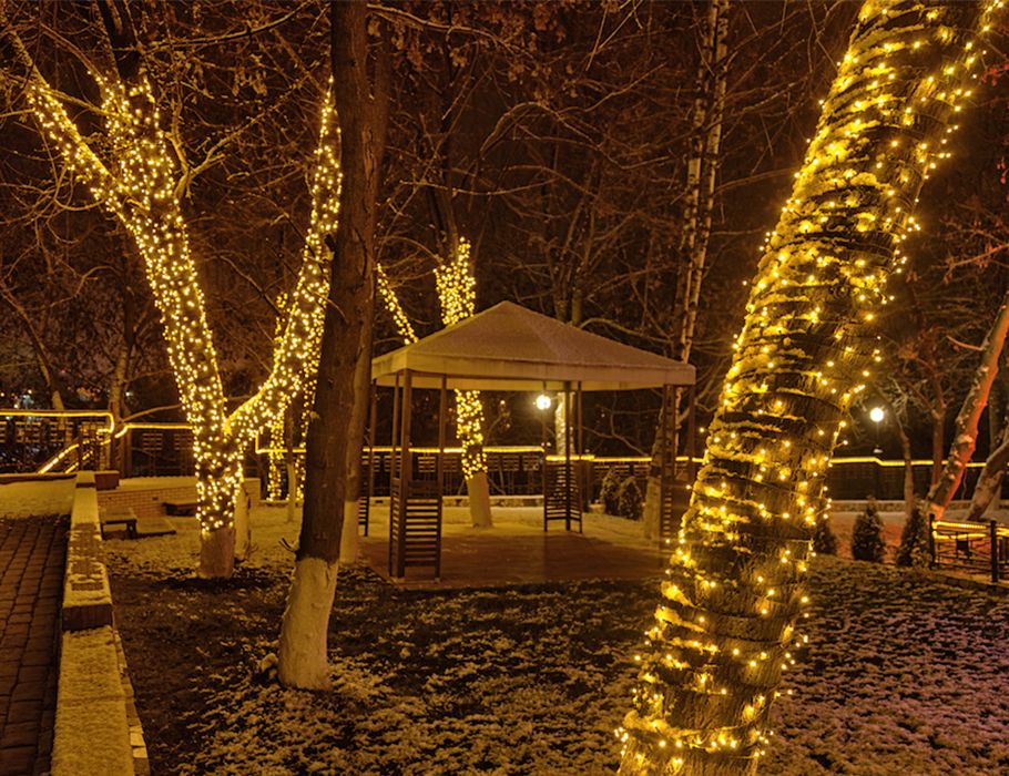 Увеличить фотографию