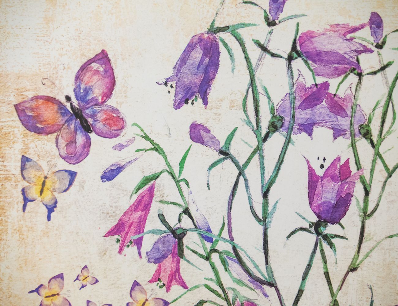 Увеличить фотографию