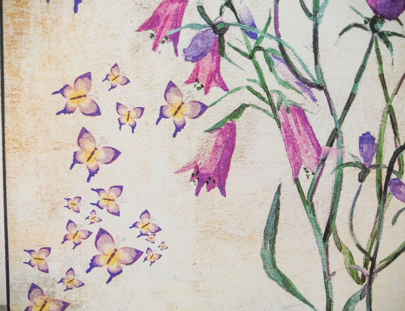 Увеличить фотографию