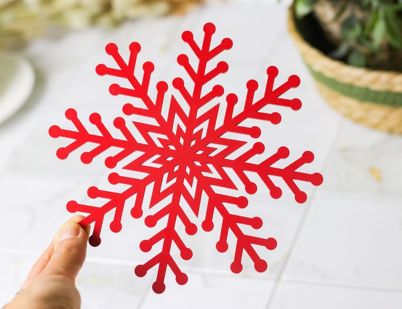 Увеличить фотографию