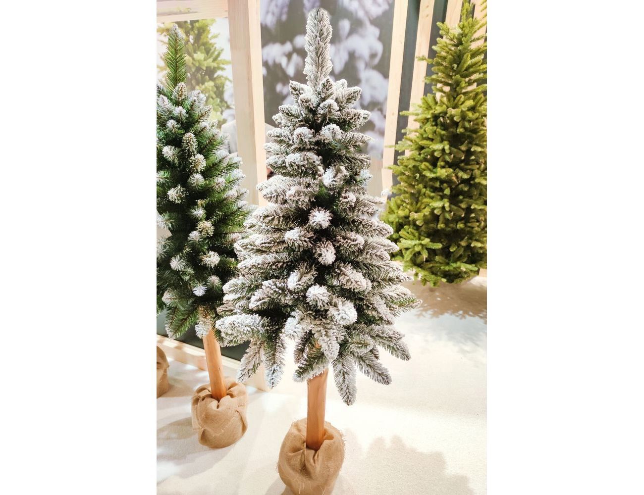 Увеличить фотографию