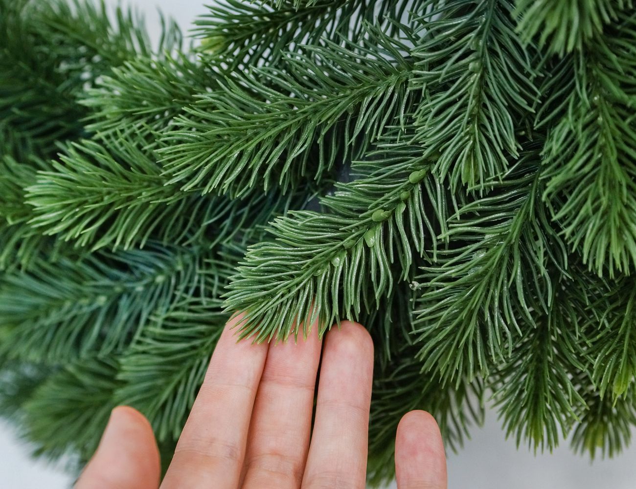 Увеличить фотографию