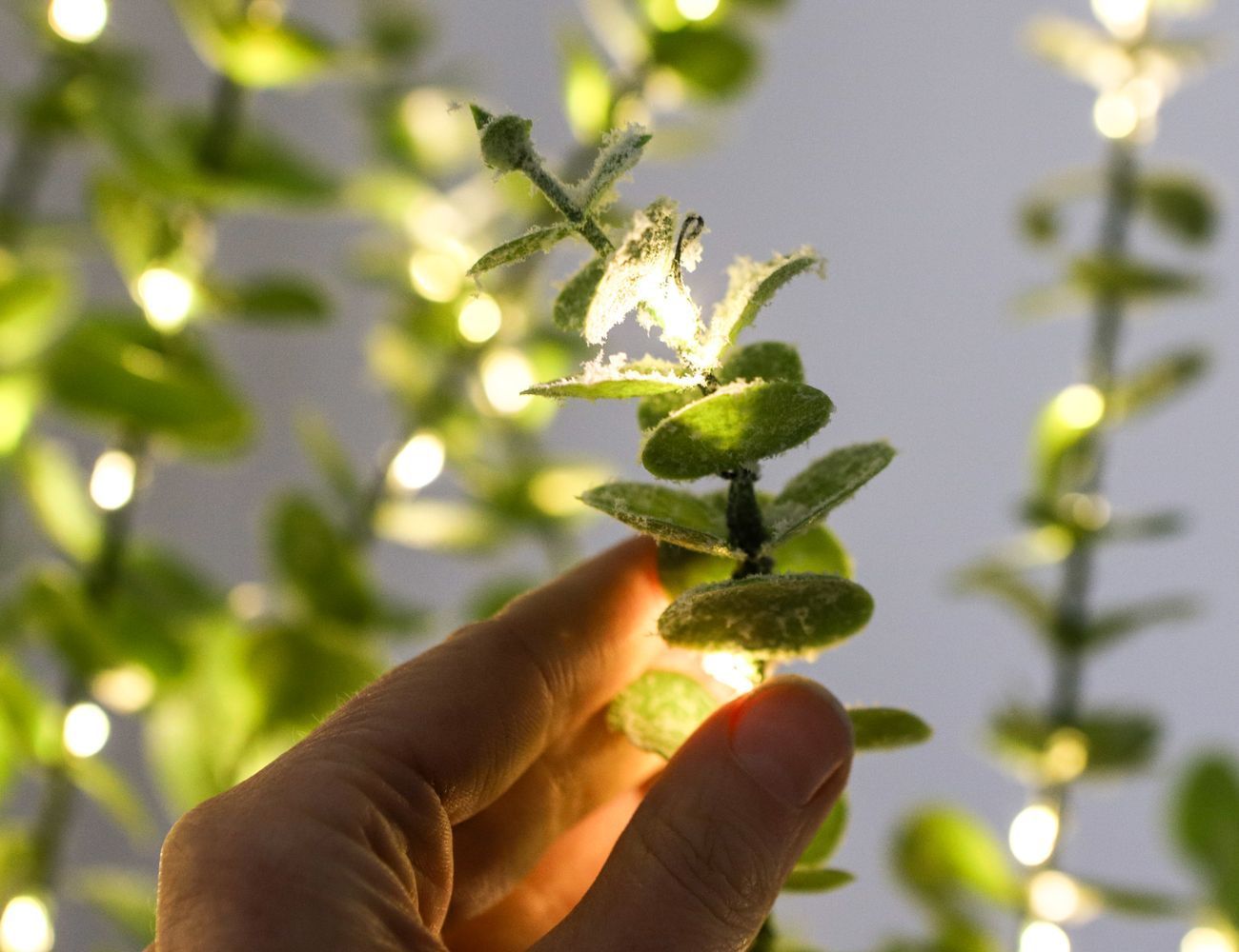 Увеличить фотографию