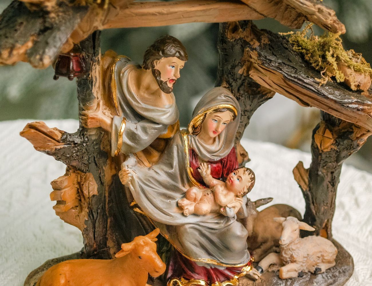 Увеличить фотографию