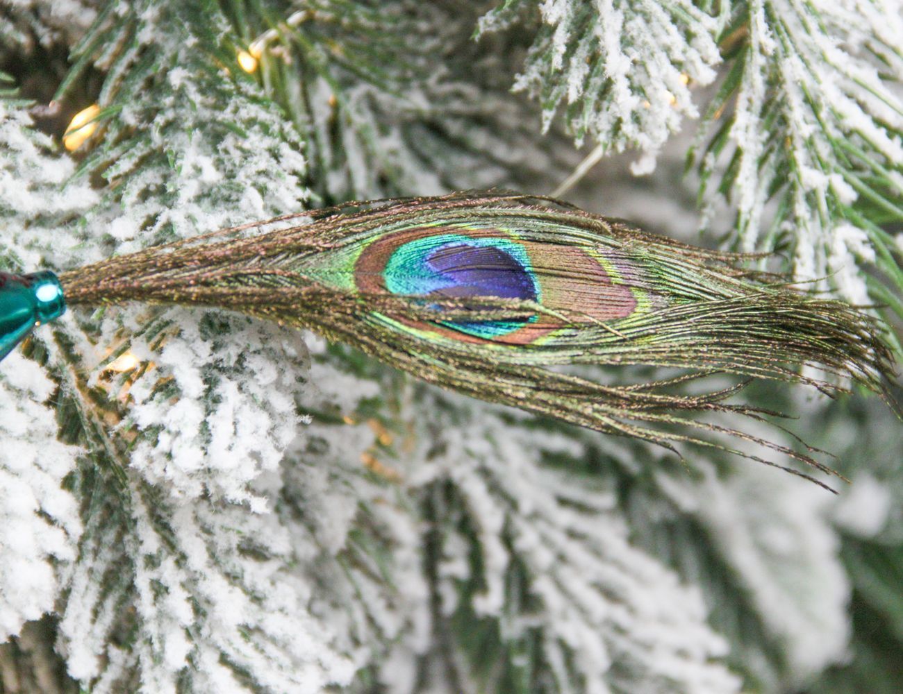 Увеличить фотографию