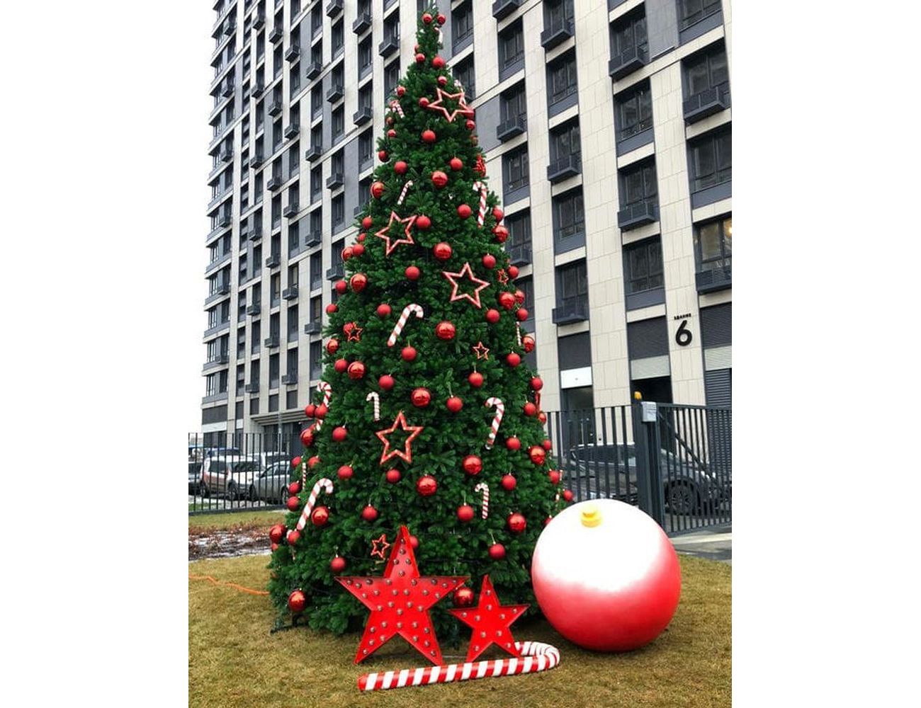 Увеличить фотографию