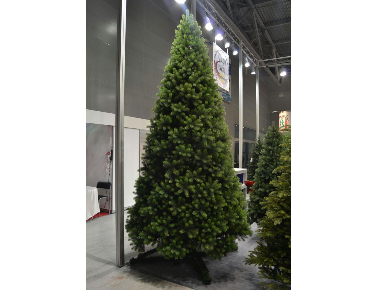 Увеличить фотографию