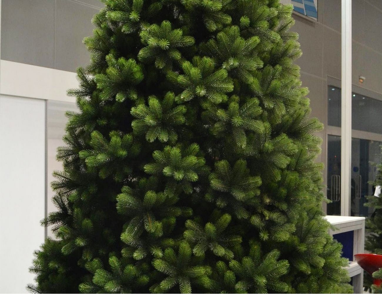 Увеличить фотографию