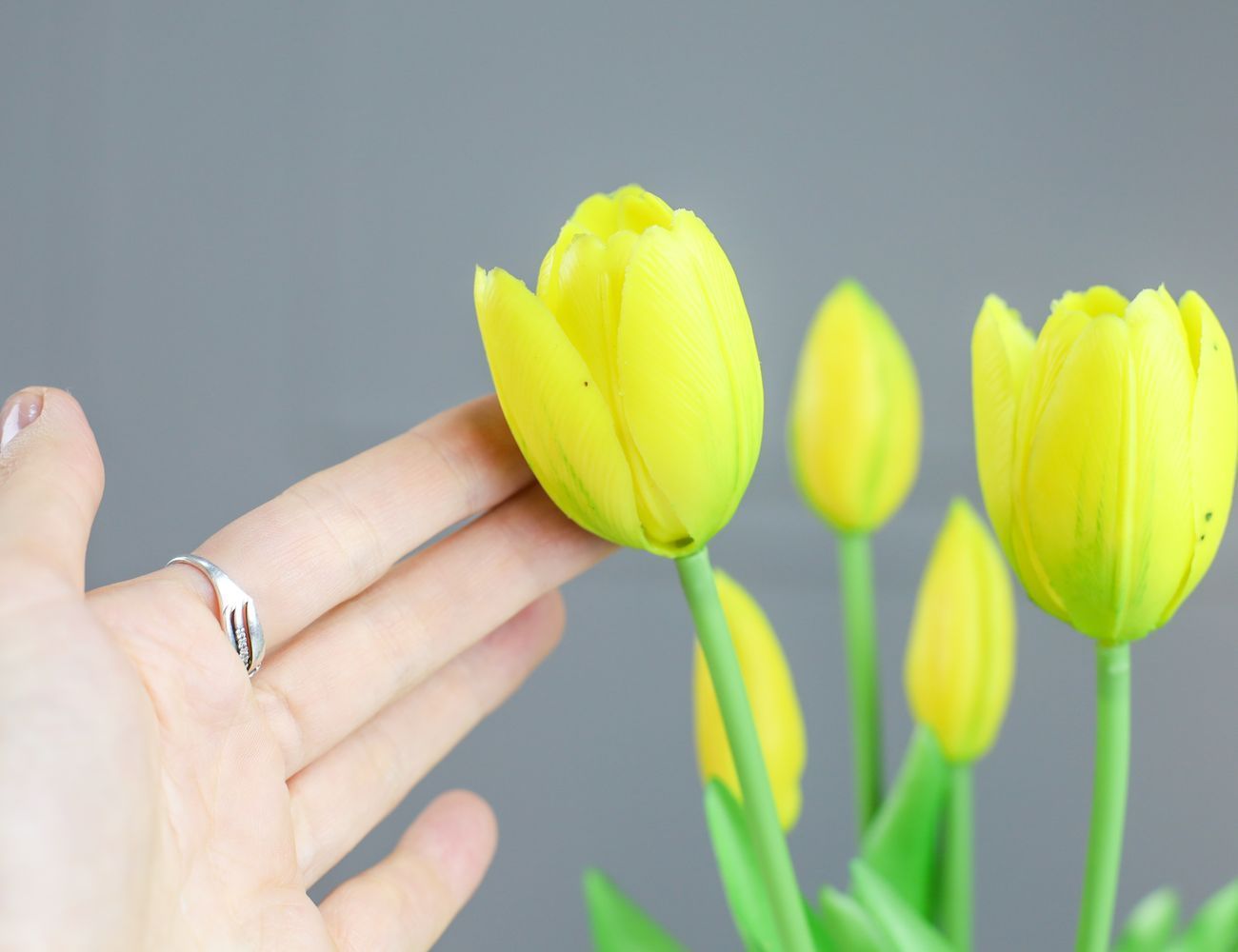 Увеличить фотографию