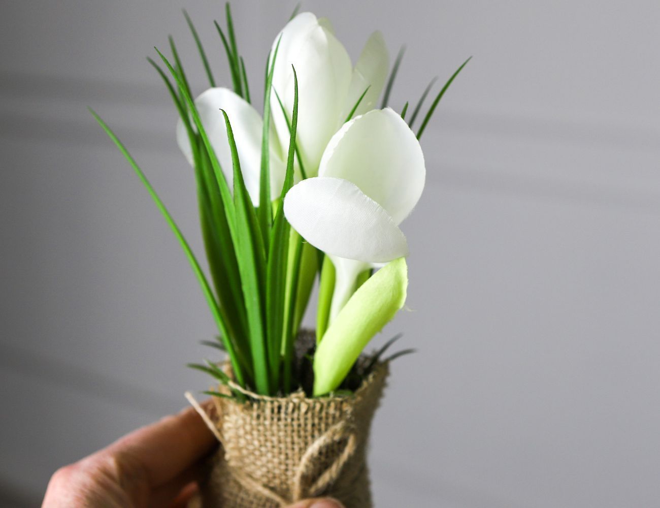 Увеличить фотографию