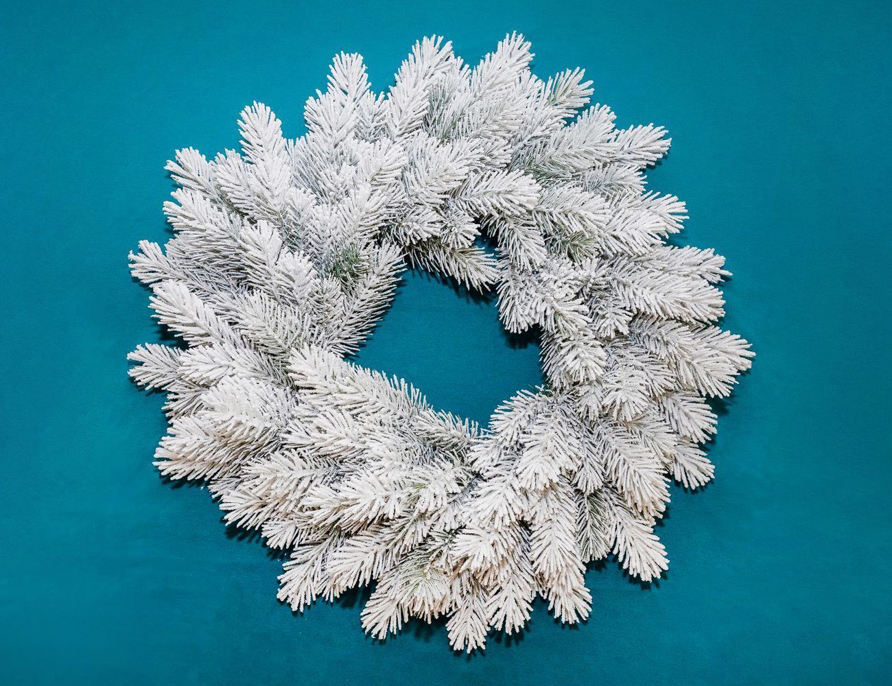 Увеличить фотографию