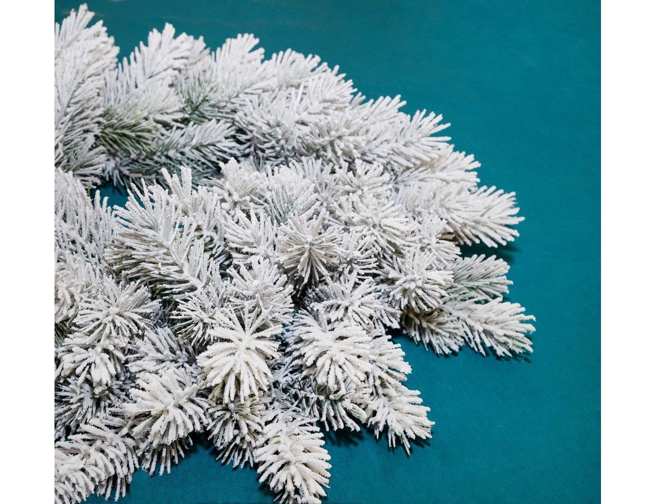 Увеличить фотографию