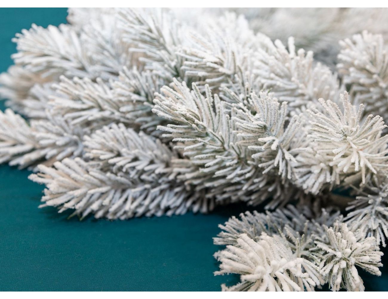 Увеличить фотографию