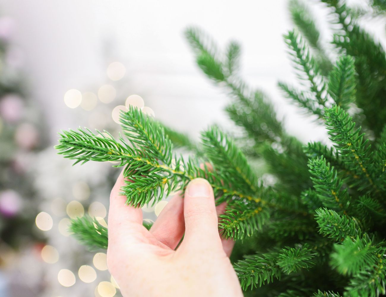 Увеличить фотографию