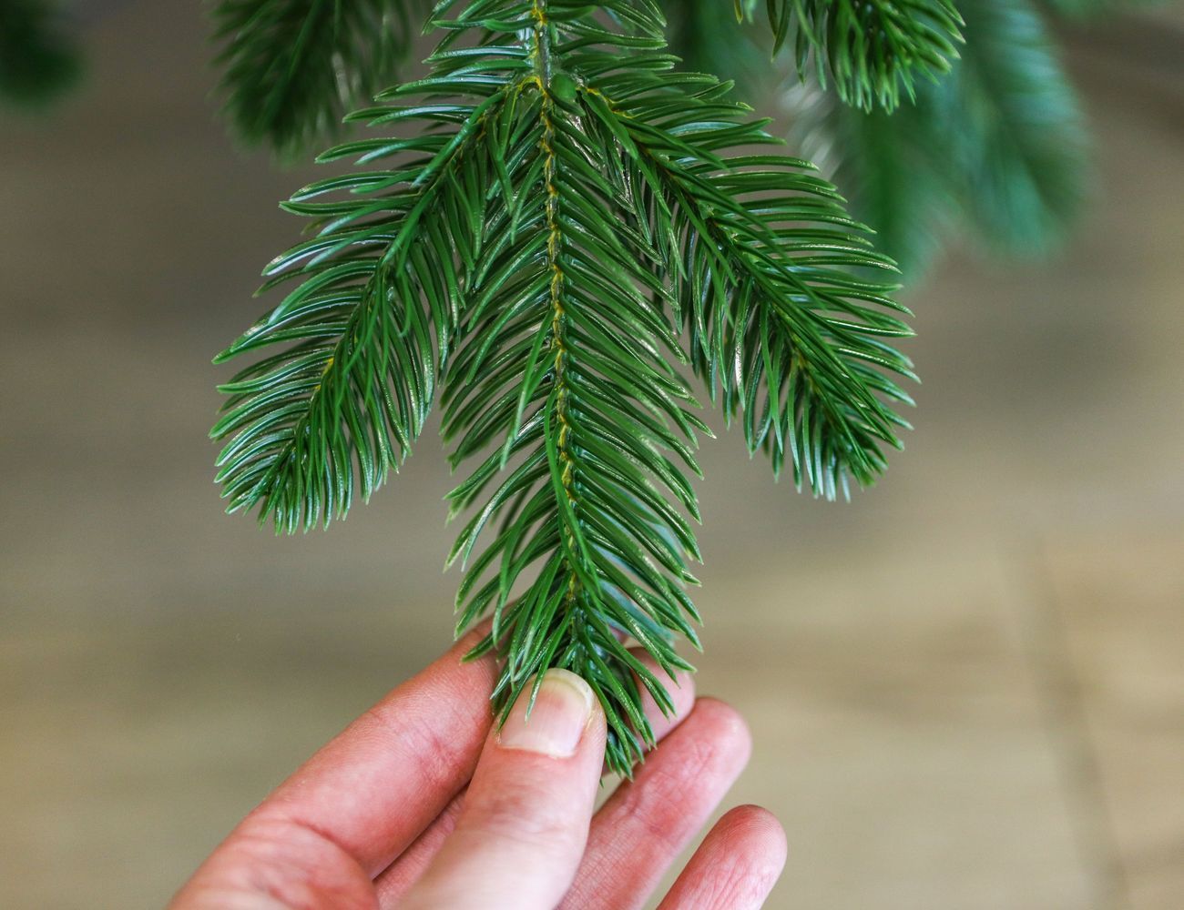 Увеличить фотографию