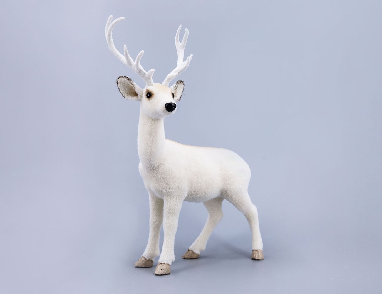 Увеличить фотографию