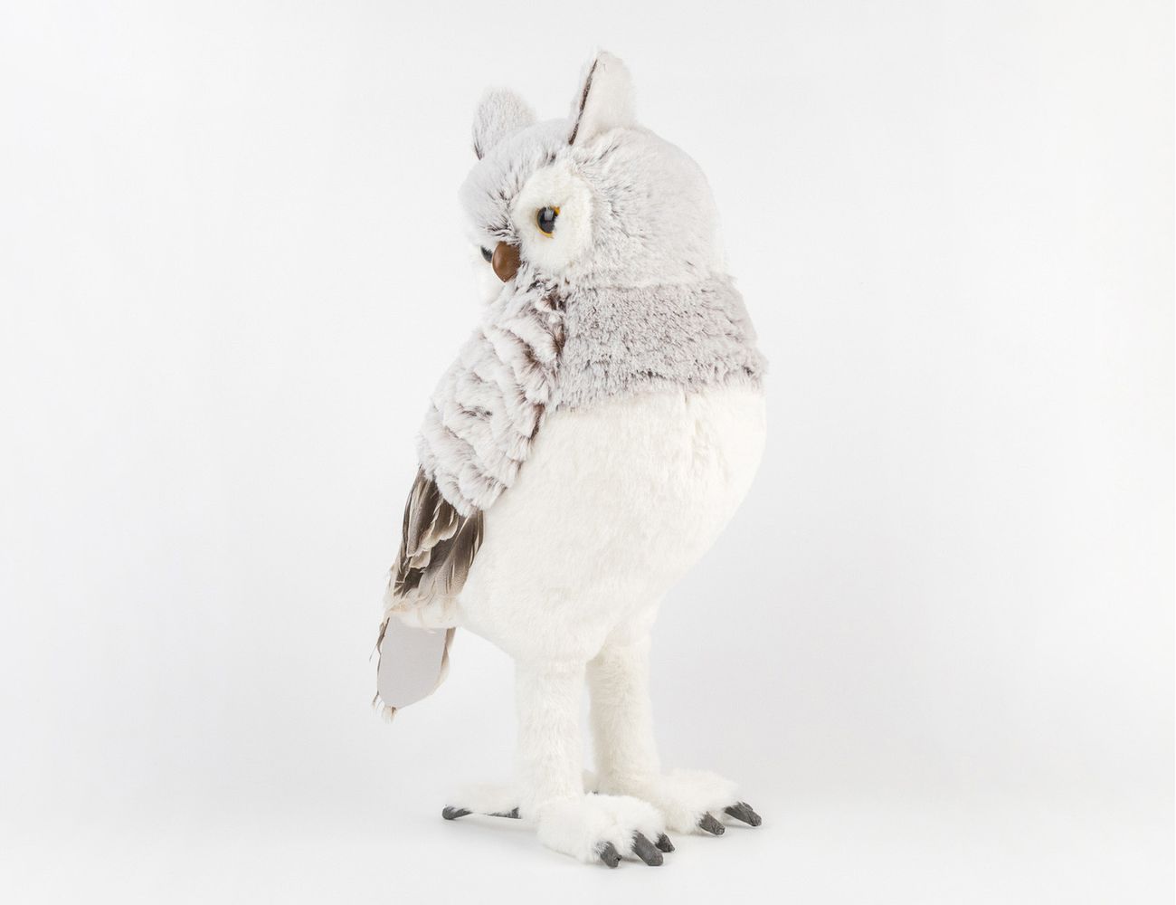 Увеличить фотографию