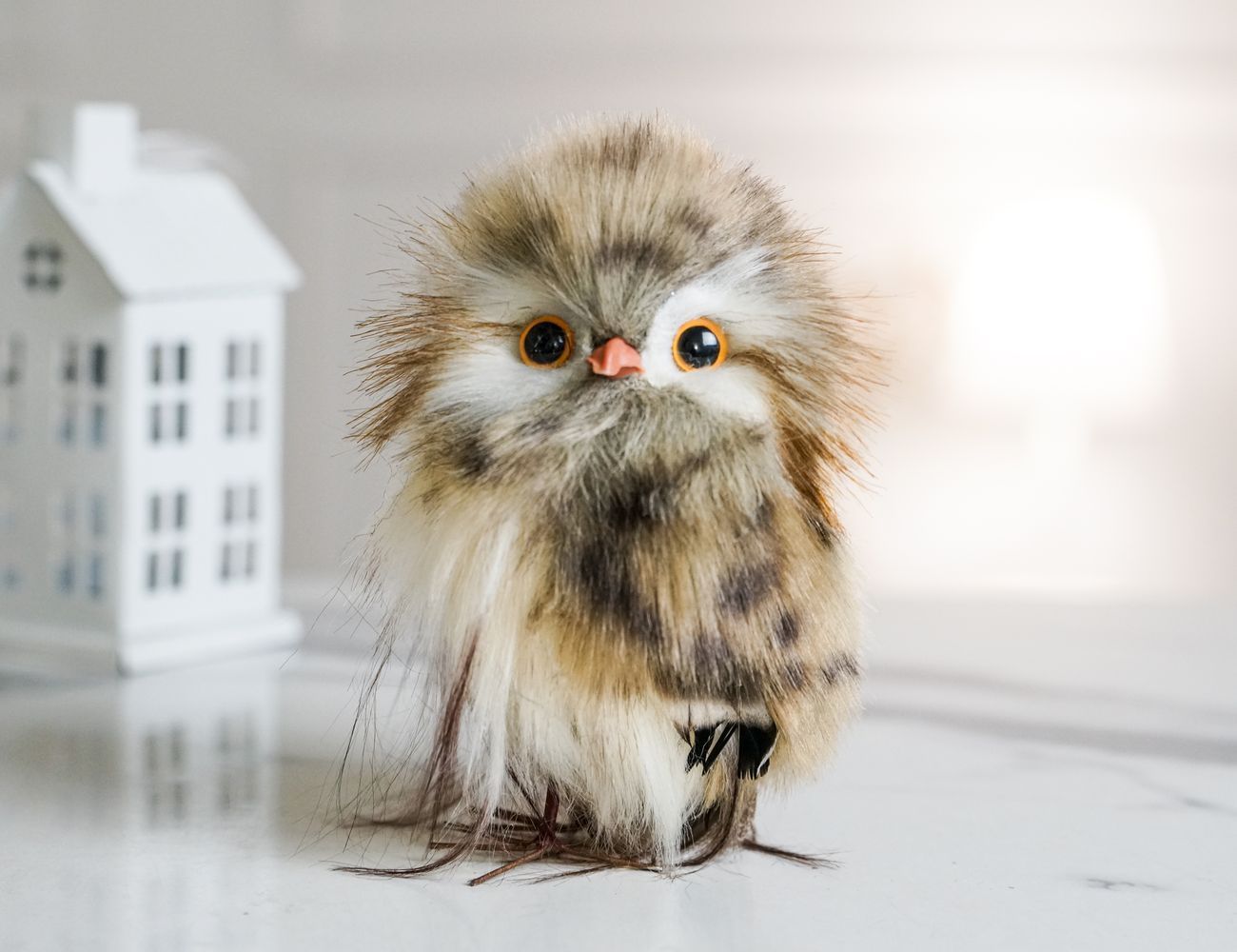 Увеличить фотографию