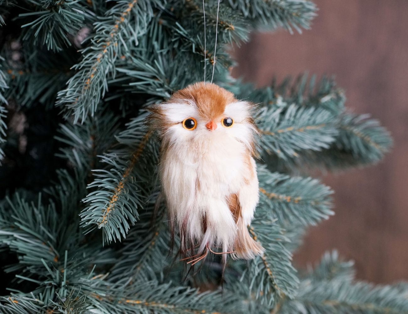 Увеличить фотографию