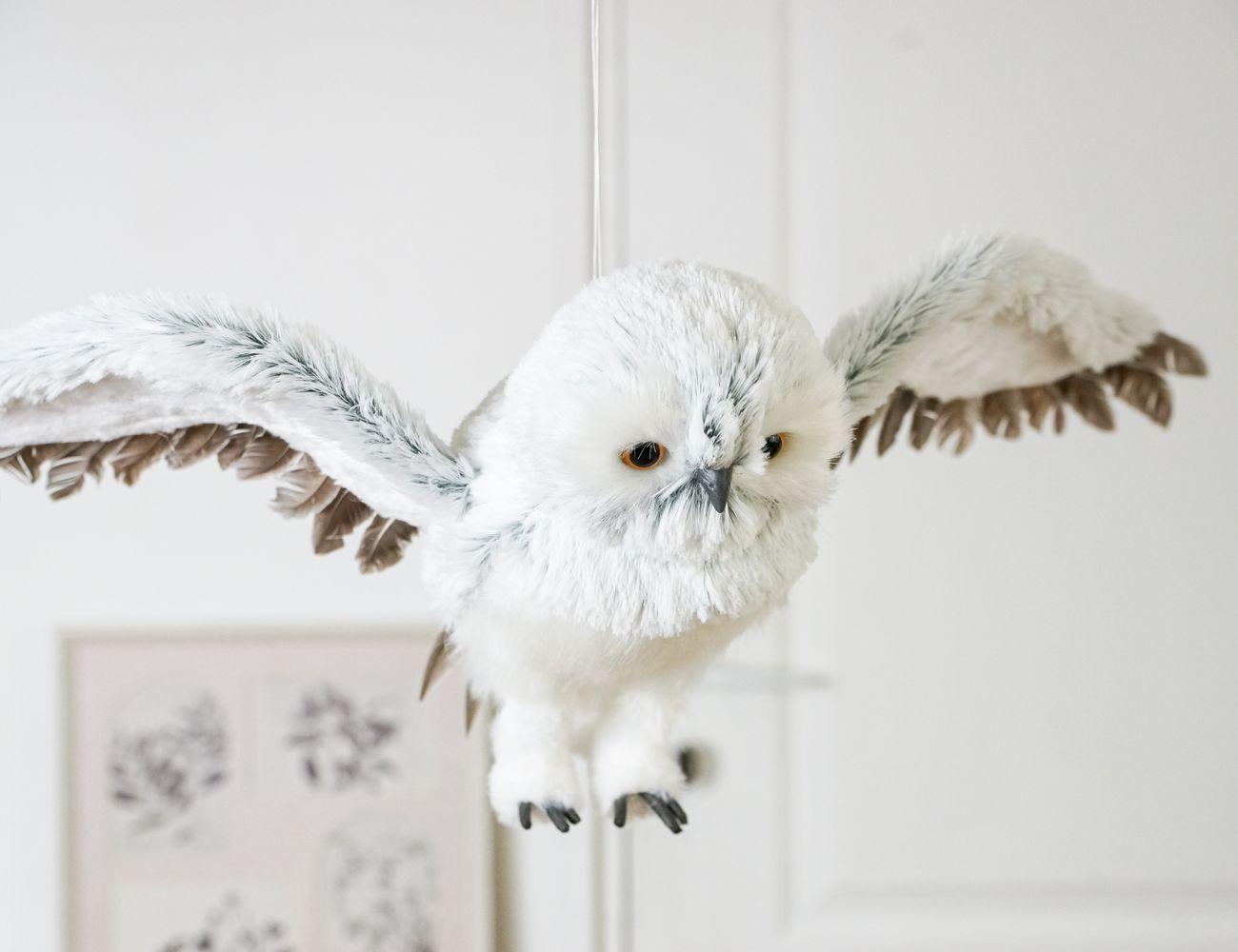 Увеличить фотографию