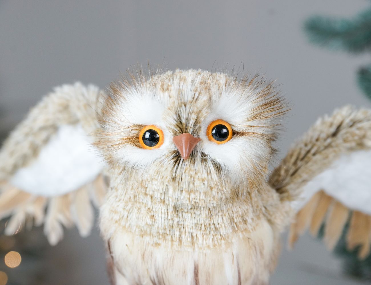 Увеличить фотографию