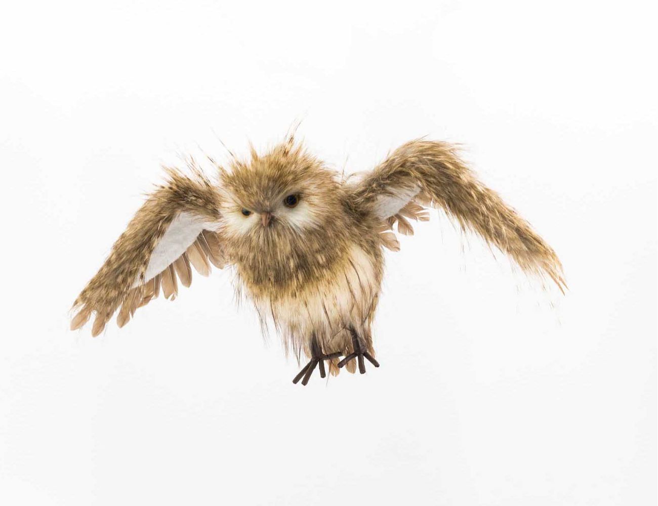 Увеличить фотографию