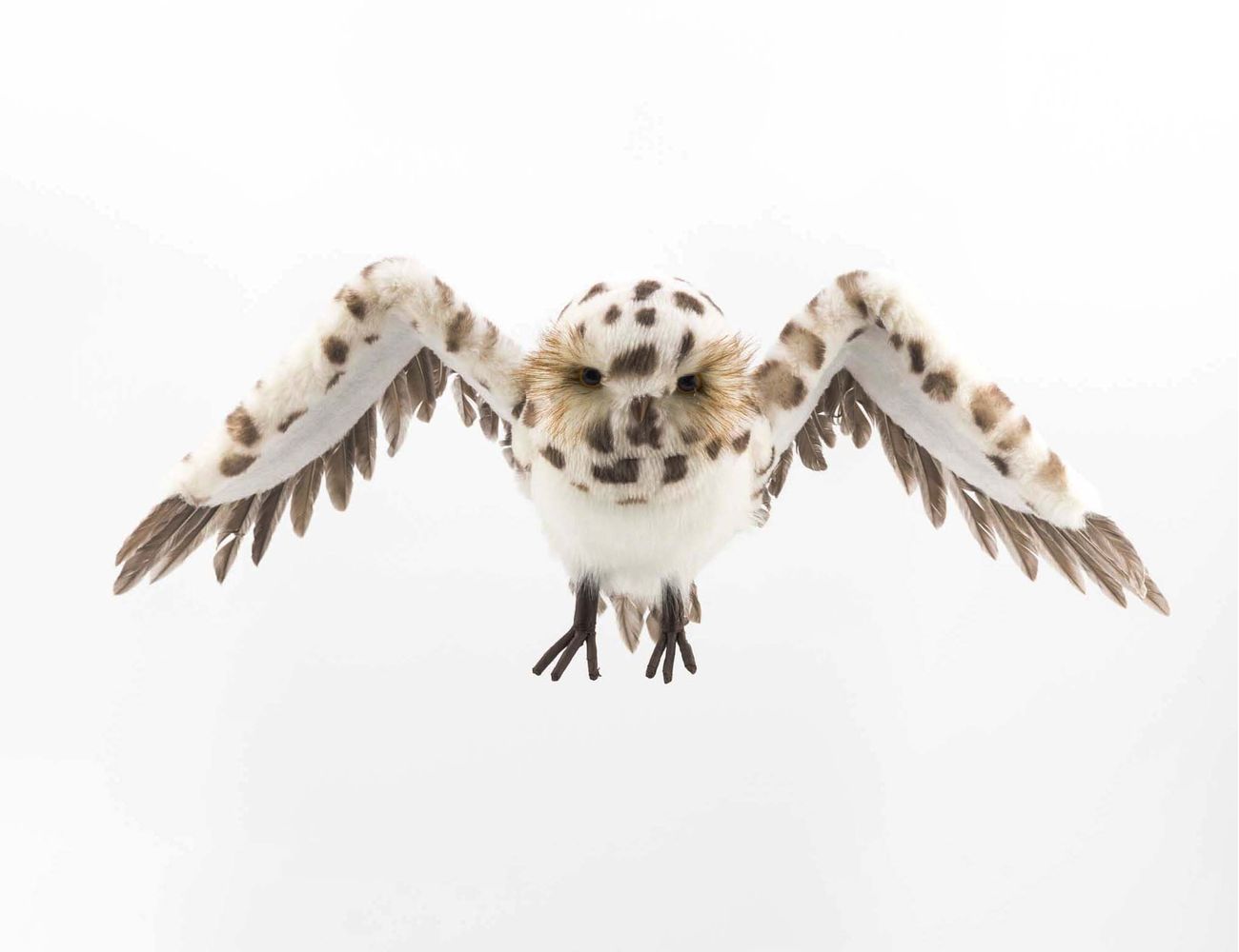 Увеличить фотографию