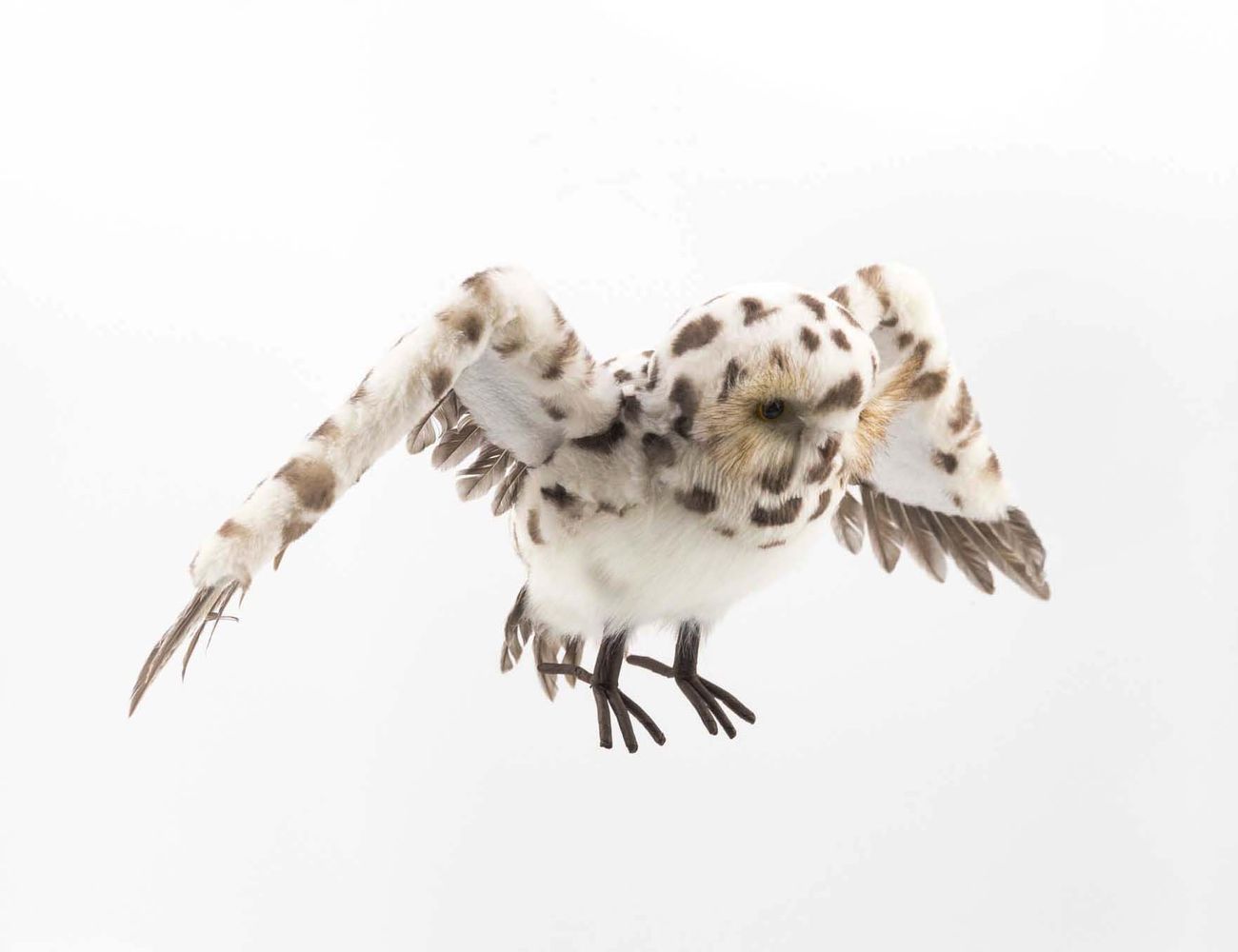 Увеличить фотографию