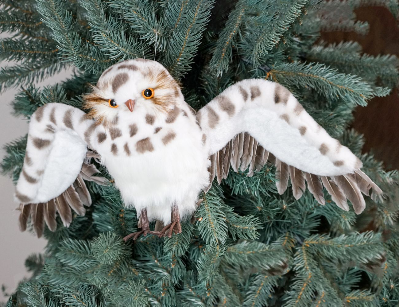 Увеличить фотографию