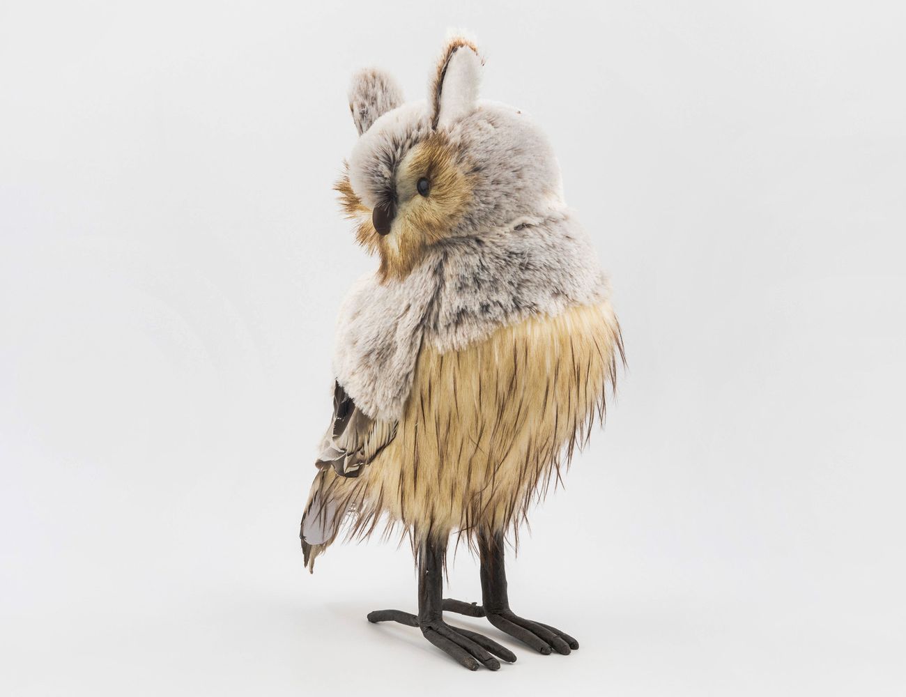 Увеличить фотографию