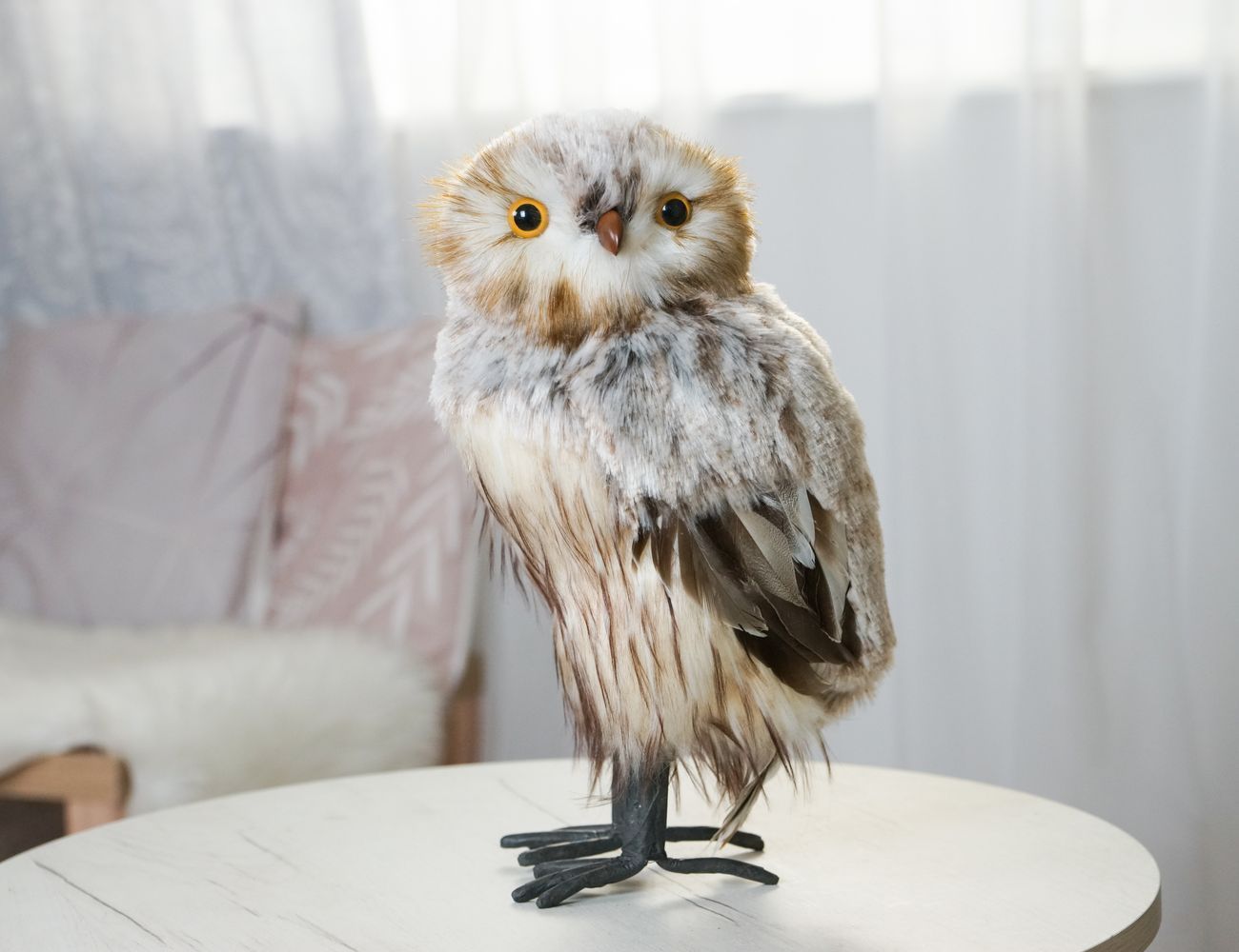 Увеличить фотографию