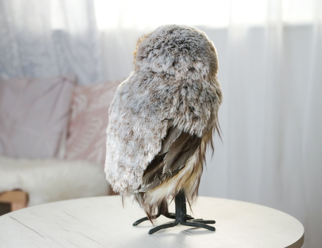 Увеличить фотографию