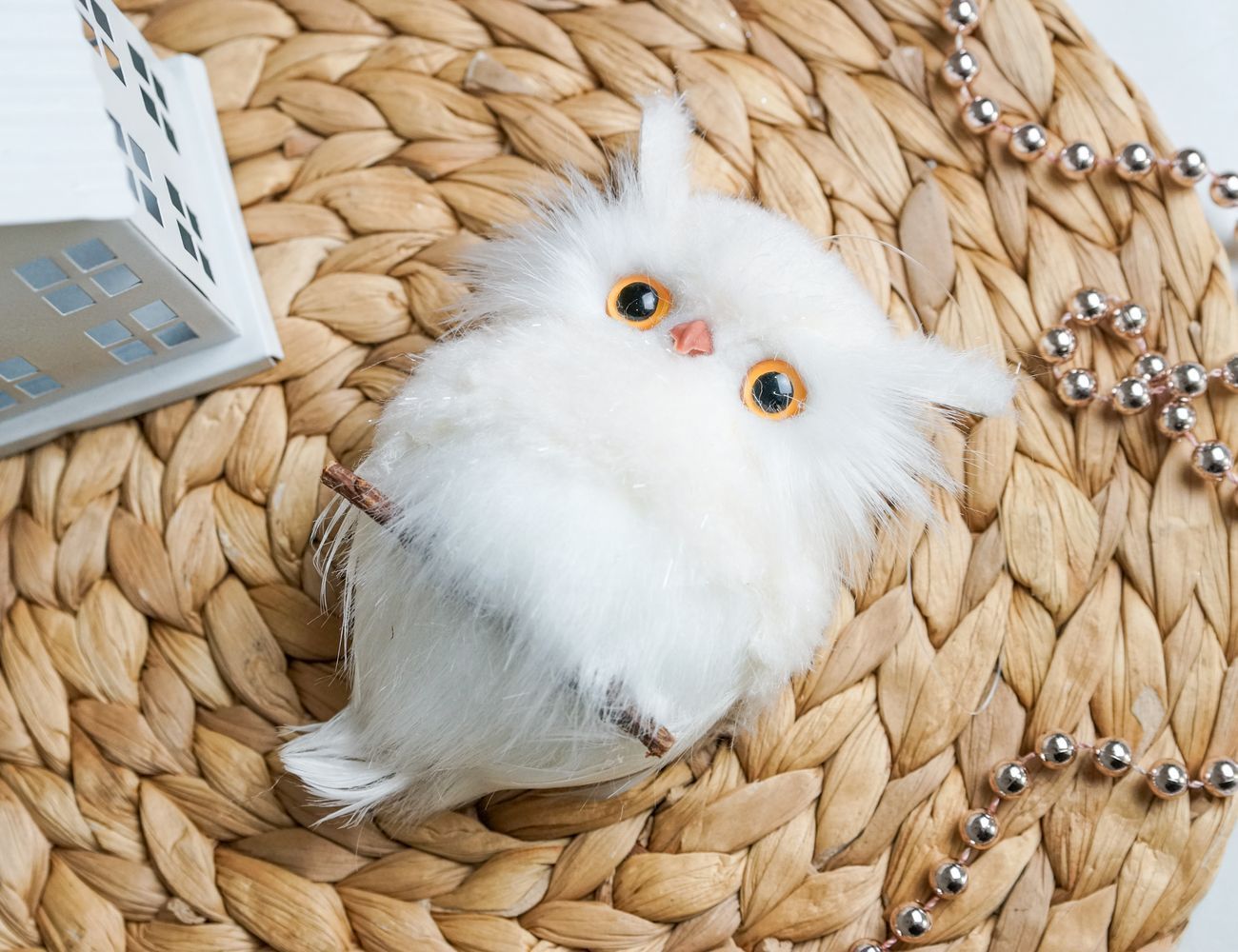 Увеличить фотографию