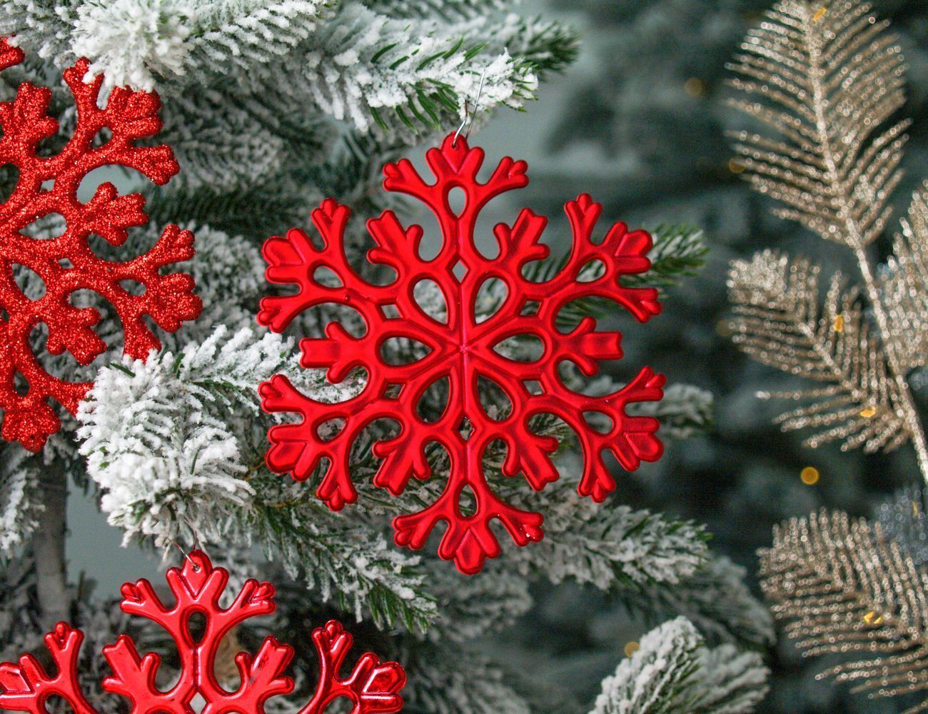 Увеличить фотографию