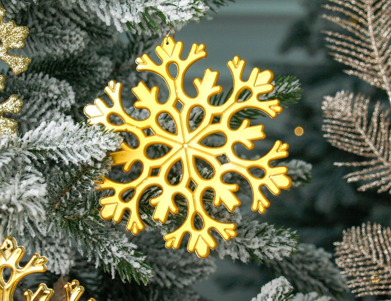 Увеличить фотографию