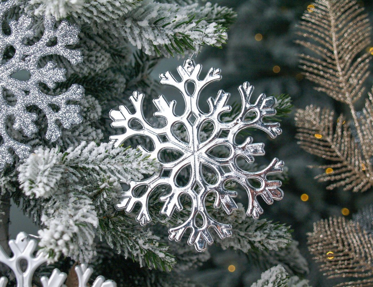 Увеличить фотографию