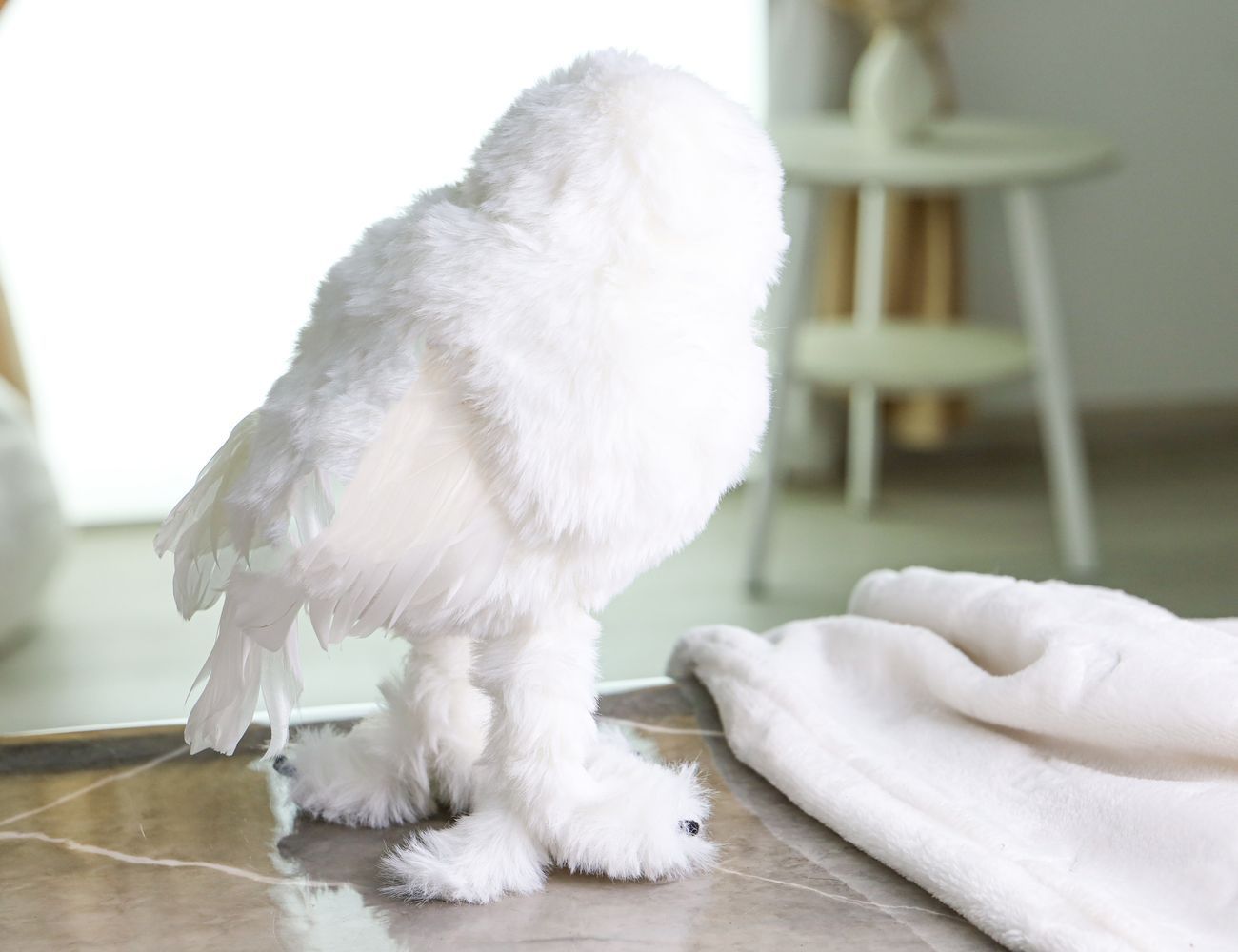 Увеличить фотографию