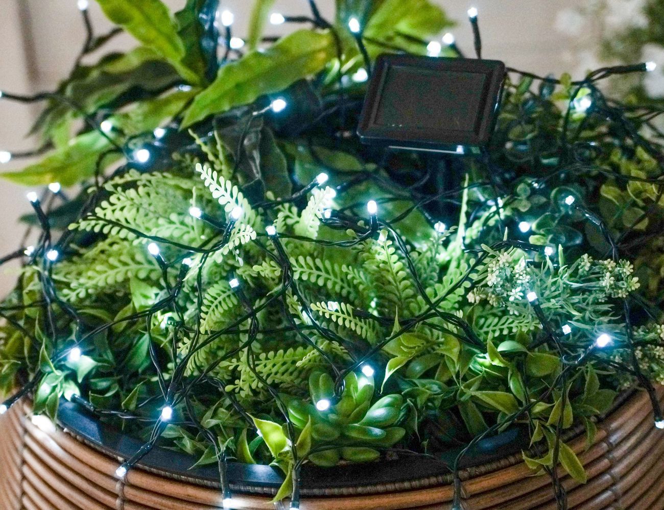 Увеличить фотографию