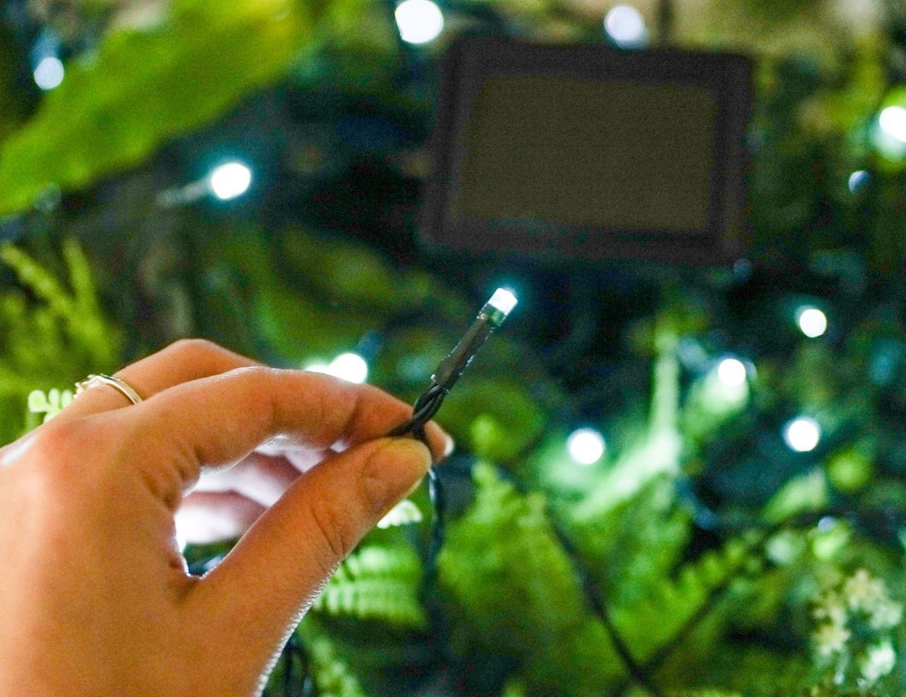 Увеличить фотографию