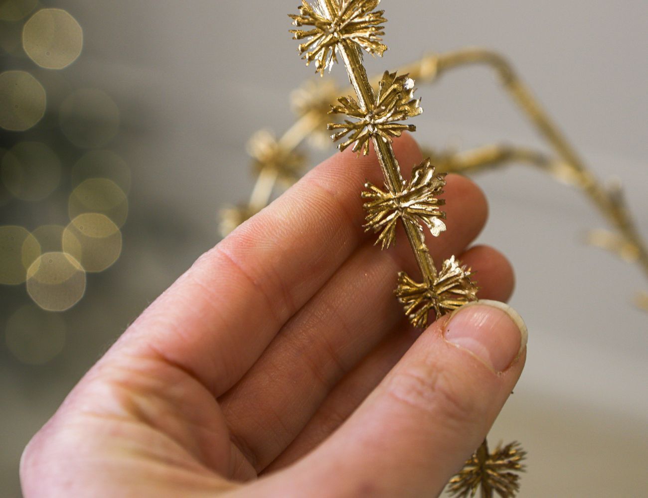 Увеличить фотографию