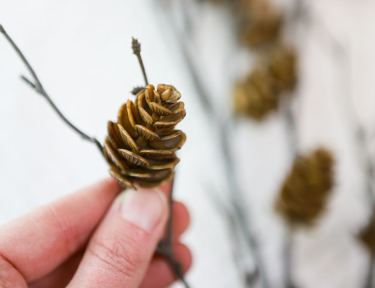 Увеличить фотографию